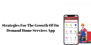 Strategies For The Growth Of On Demand Home Services App